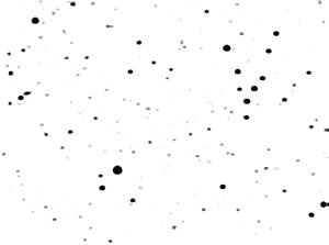 b1999.gif (6351 Byte)