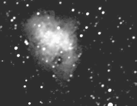 M1